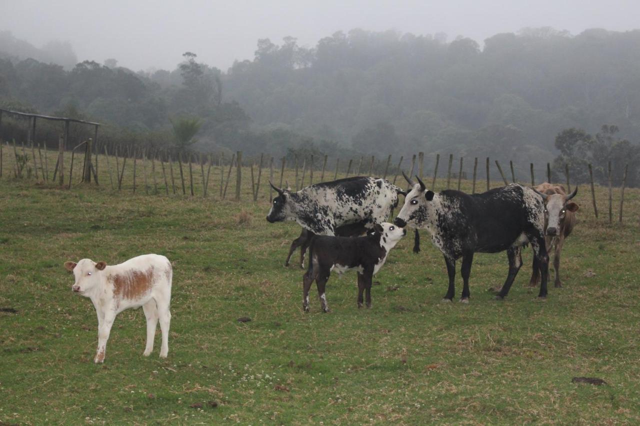 Newstead Farm - Country Cottages Curry's Post Экстерьер фото