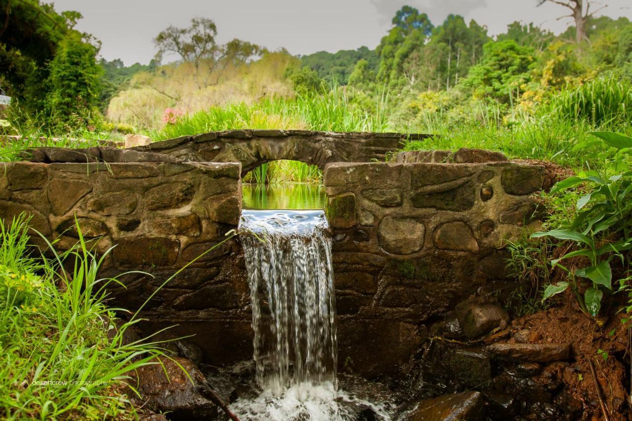 Newstead Farm - Country Cottages Curry's Post Экстерьер фото