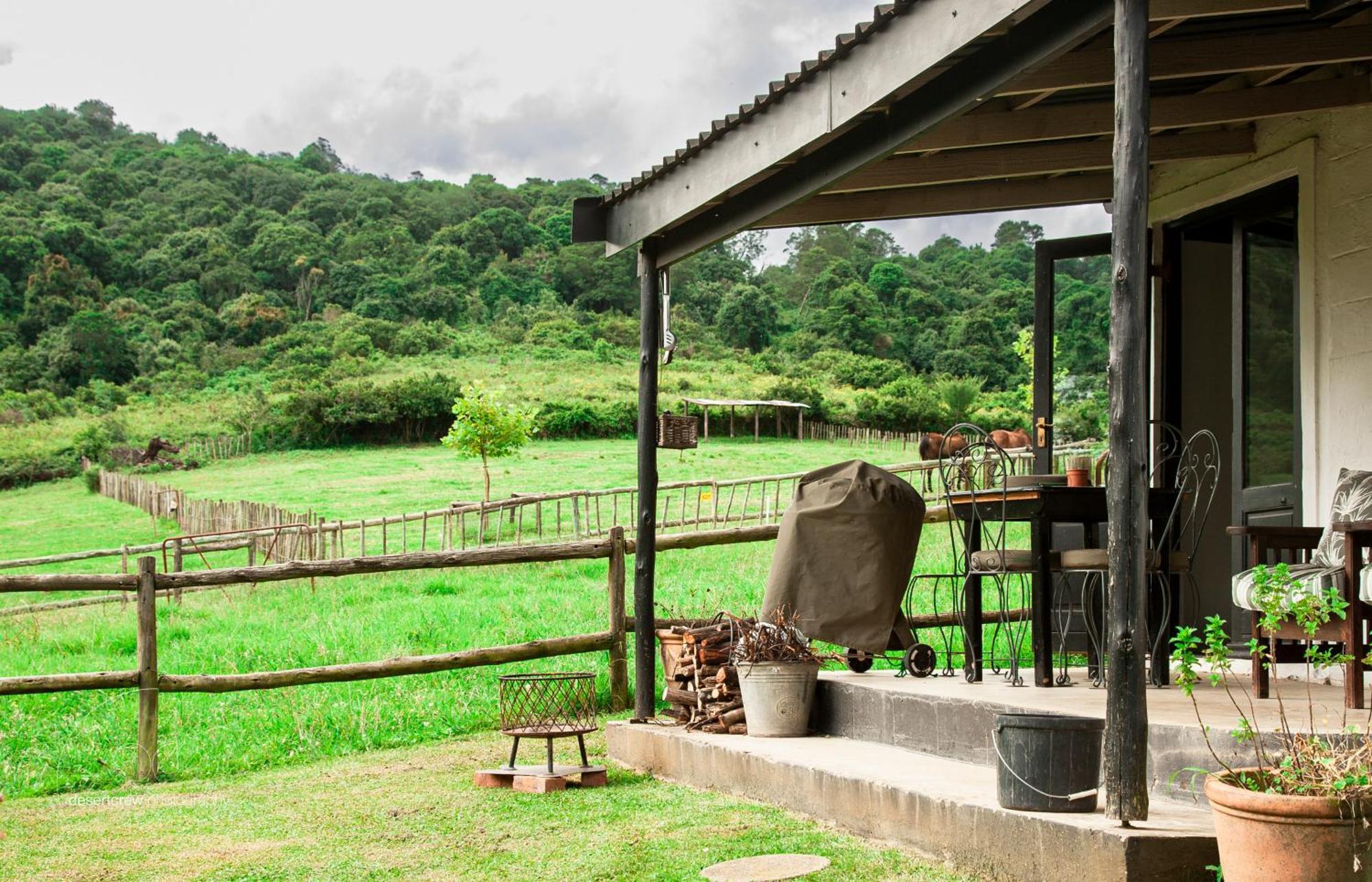 Newstead Farm - Country Cottages Curry's Post Экстерьер фото