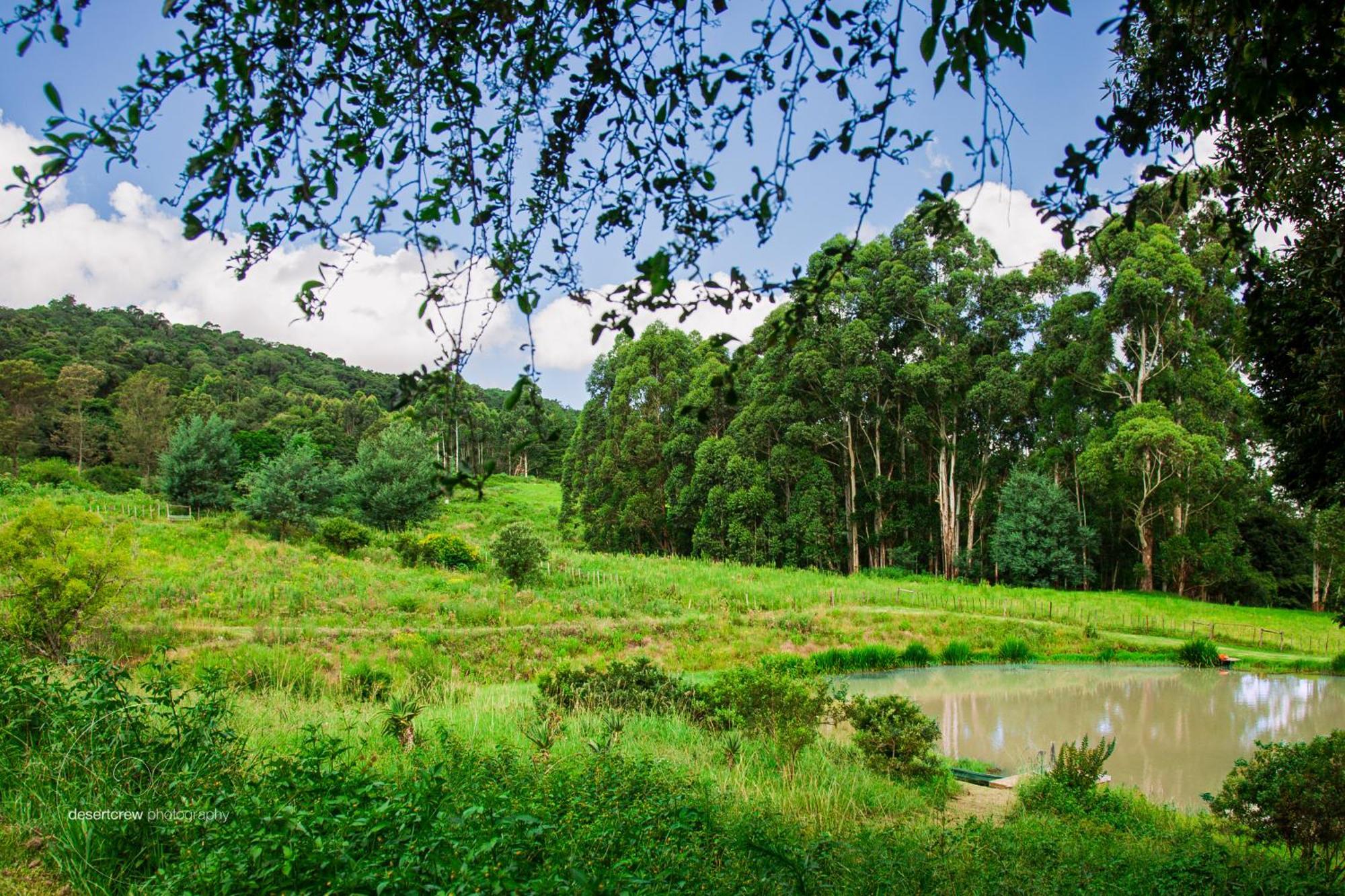Newstead Farm - Country Cottages Curry's Post Экстерьер фото