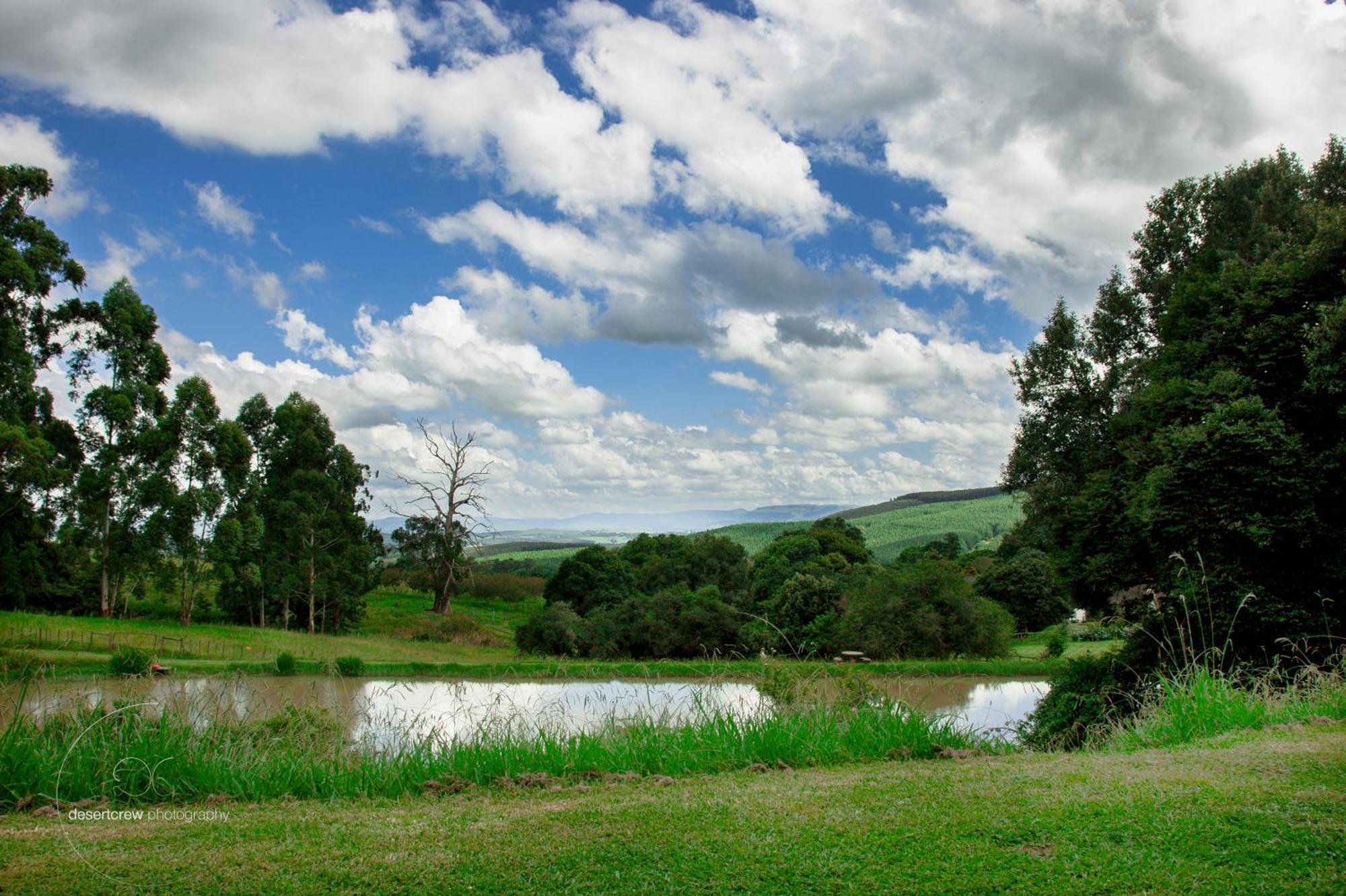 Newstead Farm - Country Cottages Curry's Post Экстерьер фото